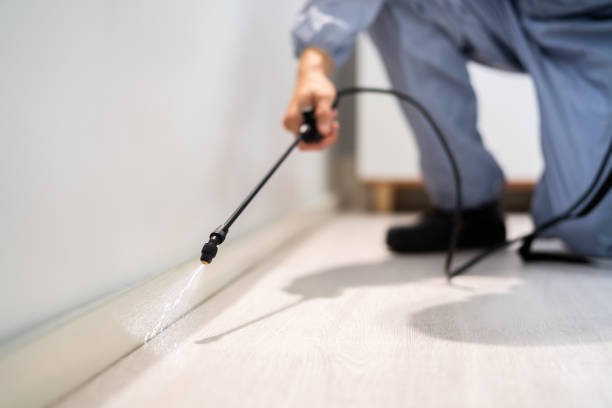 Licensed Mosquito Control service in Milton, FL - Show Me Pest Control