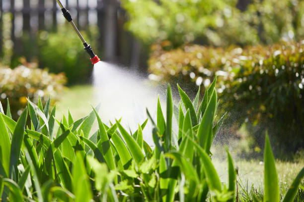 24/7 Emergency Mosquito Control experts in Milton, FL
