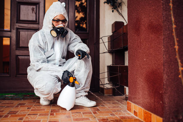 Reliable Mosquito Control contractor in Milton, FL by Show Me Pest Control